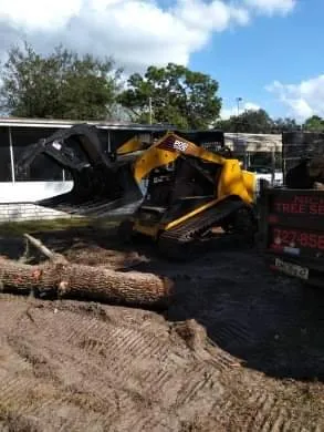 Affordable landscape installation for outdoor upgrades in New Port Richey, FL by Nick's Tree Service