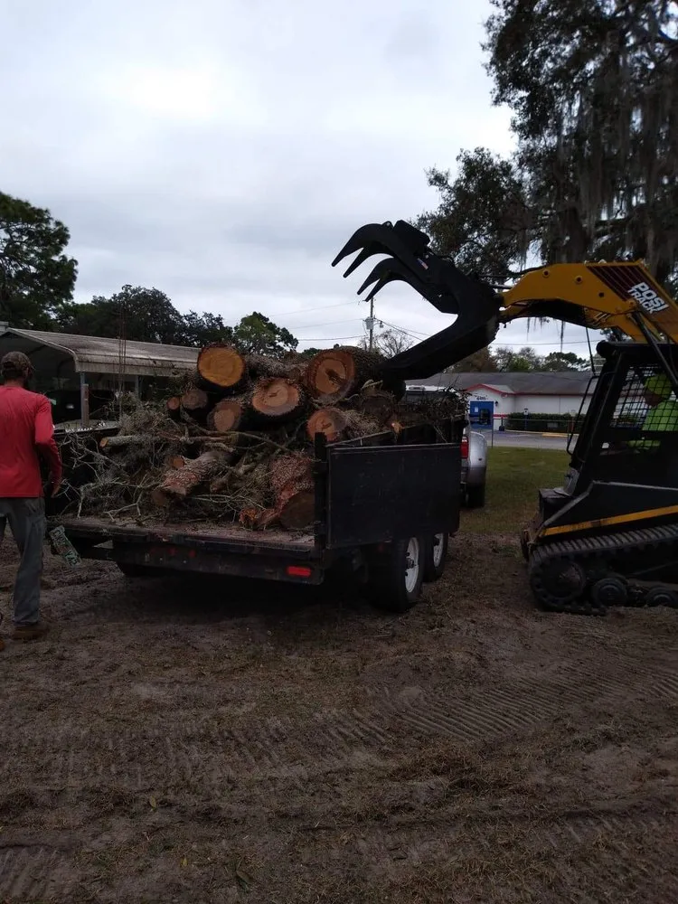 Top-rated landscape design experts serving New Port Richey, FL - Nick's Tree Service