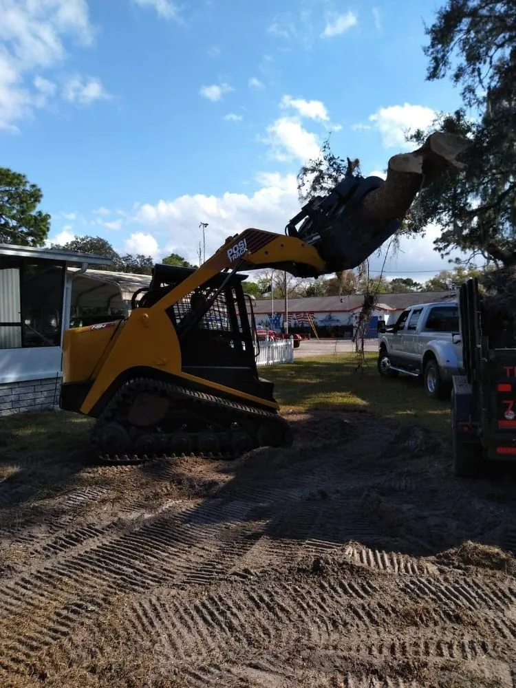 Top-rated outdoor landscaping experts serving New Port Richey, FL - Nick's Tree Service