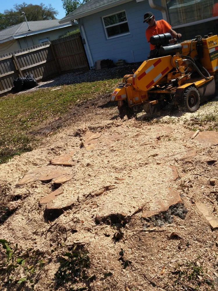 Reliable residential landscaping experts serving New Port Richey, FL - Nick's Tree Service