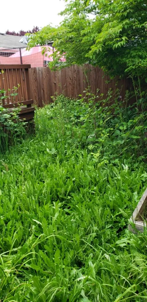 Reliable landscape design for homes across Albany, OR - Nicks Yard & Home