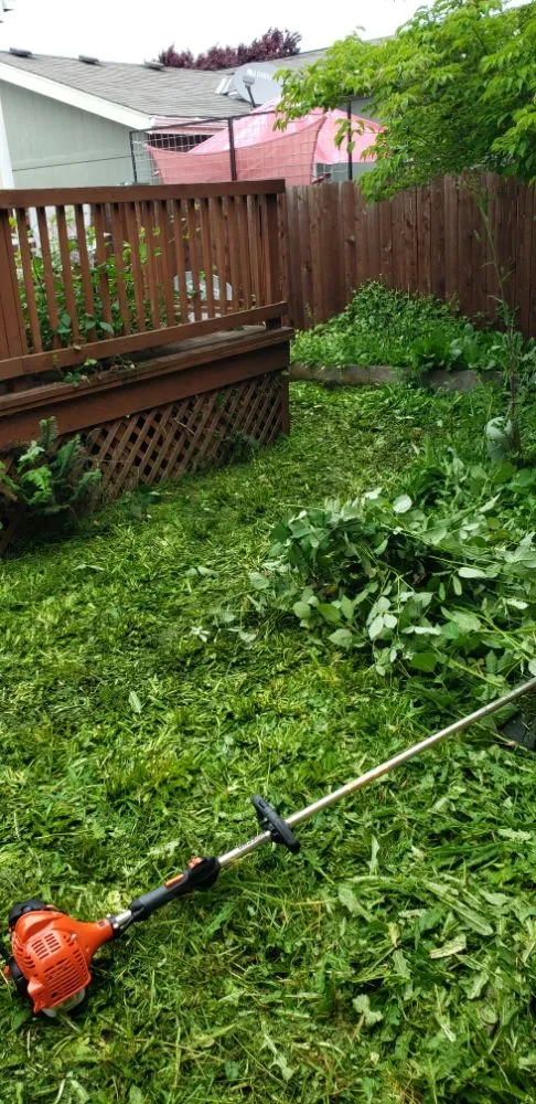 Custom landscape design in Albany, OR - Nicks Yard & Home