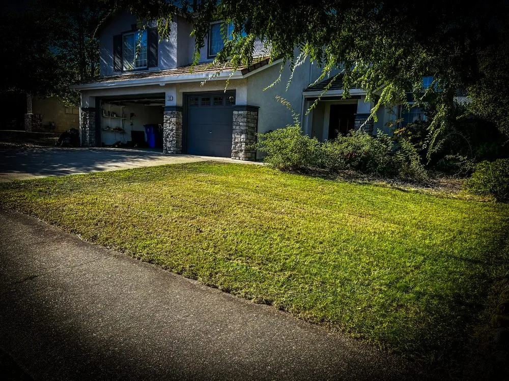 Top-rated lawn mowing service in Carmichael, CA by Nick's Yard Care