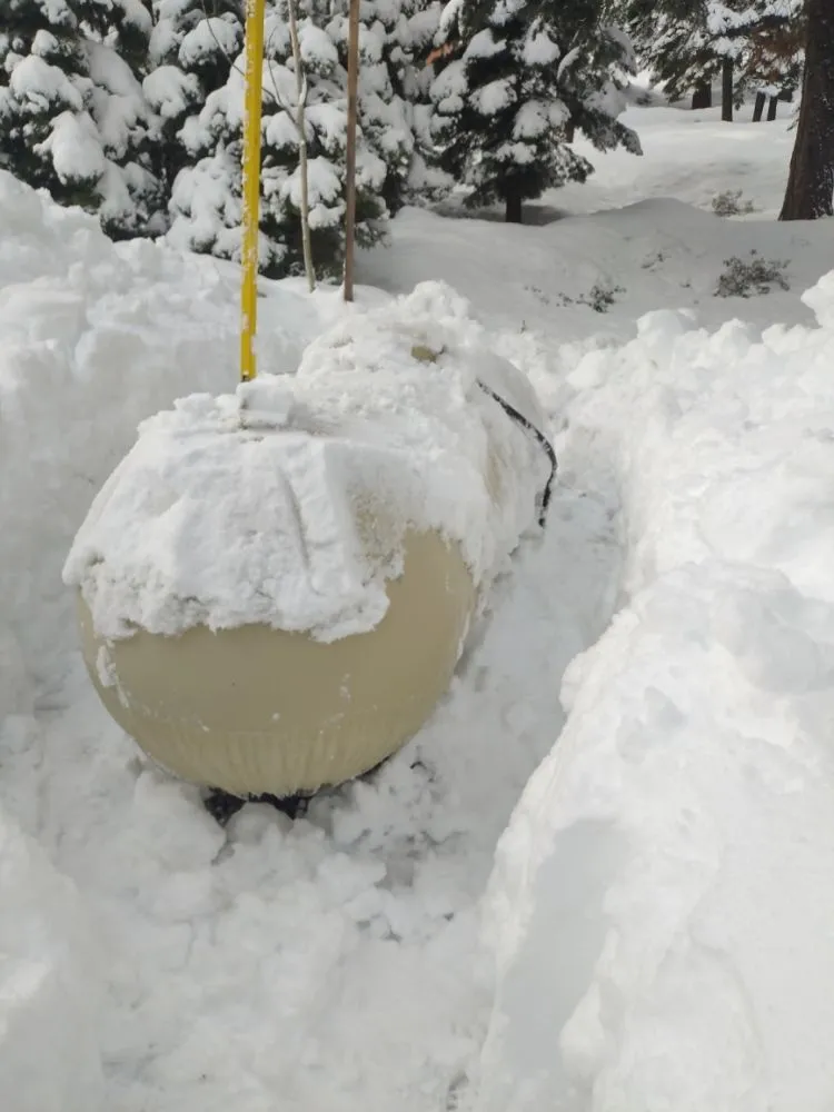 Trusted landscape design experts serving Tahoma, CA - Nicky's Helping Hand