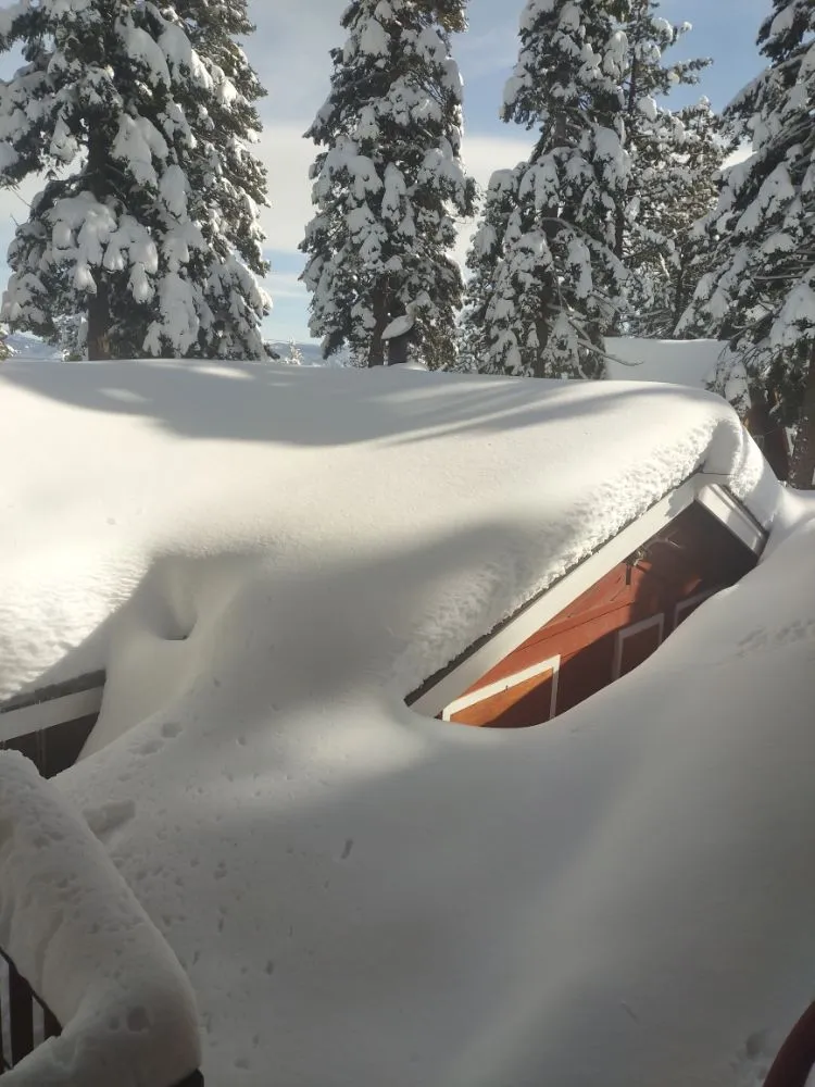 Local yard maintenance in Tahoma, CA by Nicky's Helping Hand