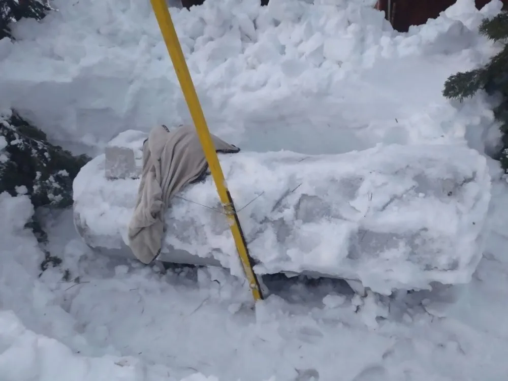 Affordable outdoor landscaping in Tahoma, CA by Nicky's Helping Hand