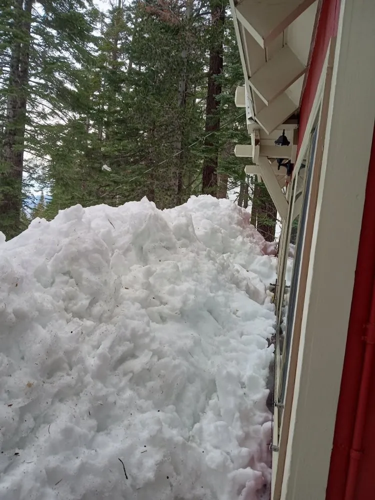 Top-rated yard maintenance in Tahoma, CA - Nicky's Helping Hand