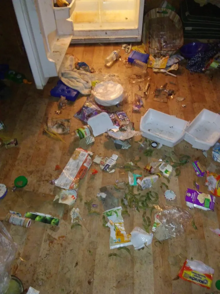 Trusted yard cleanup service near you across Tahoma, CA - Nicky's Helping Hand