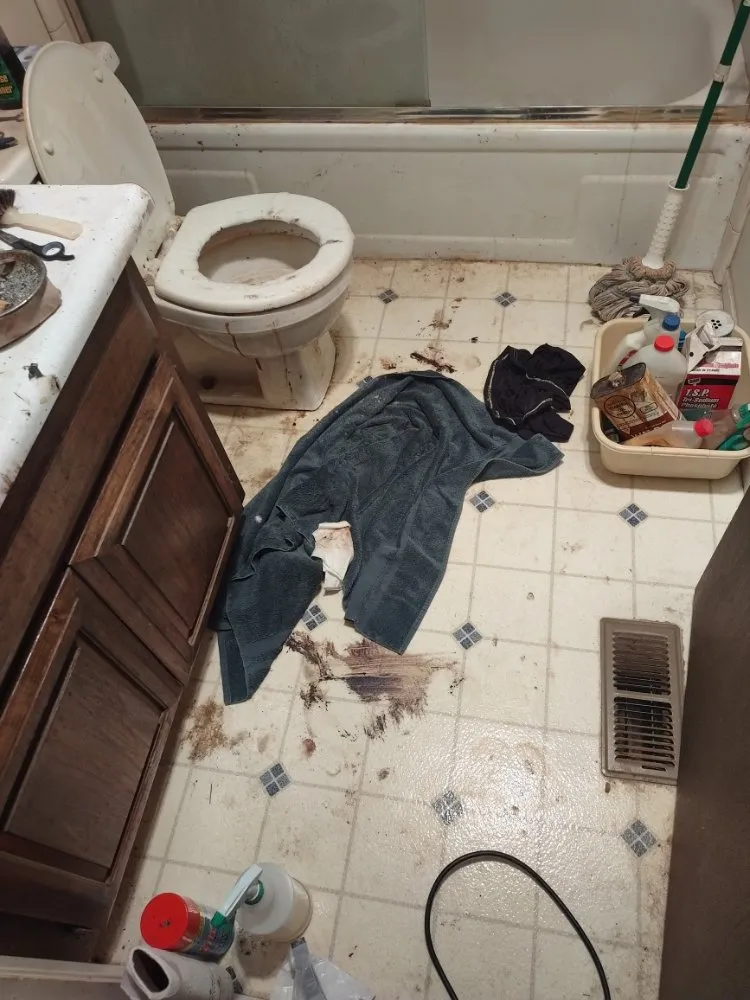 Top-rated outdoor landscaping in Tahoma, CA by Nicky's Helping Hand