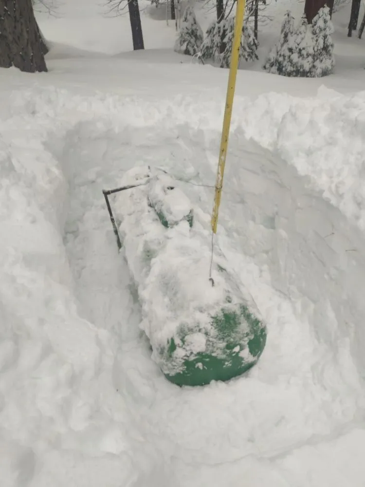 Affordable yard cleanup service in Tahoma, CA by Nicky's Helping Hand