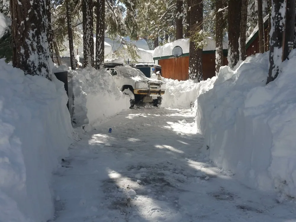 Trusted yard cleanup service in Tahoma, CA by Nicky's Helping Hand