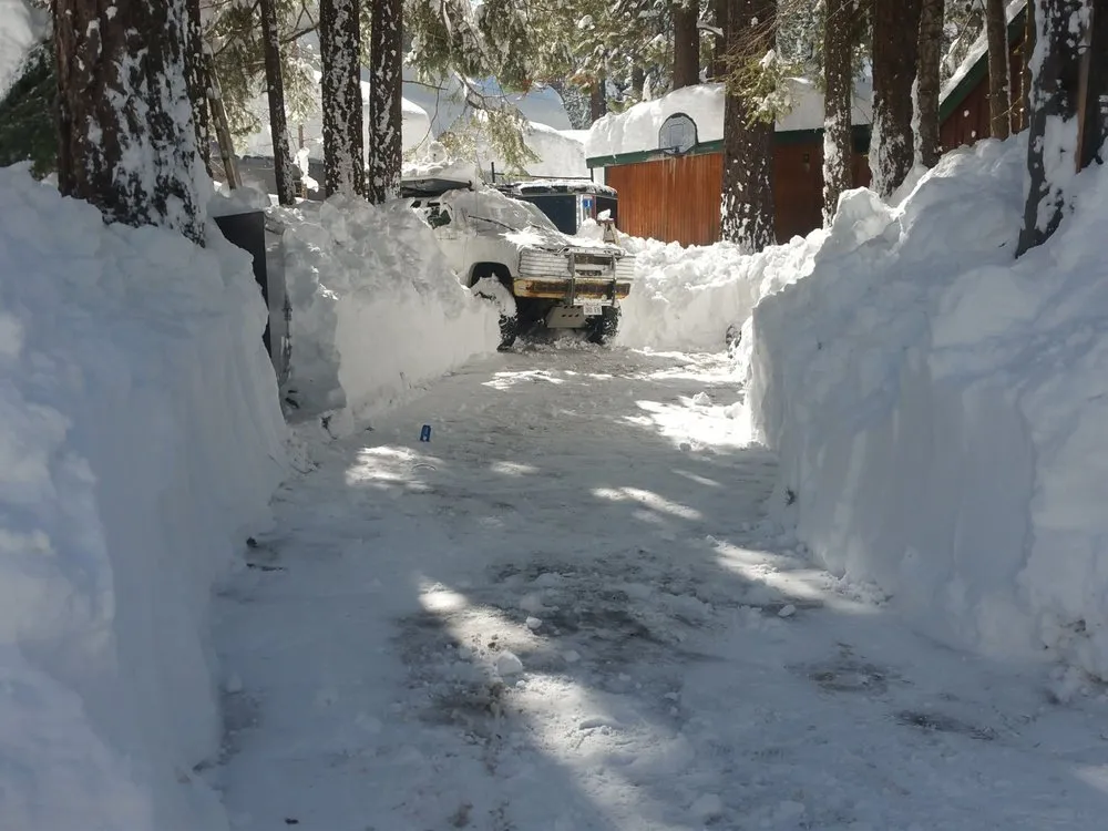 Professional landscaping services for residential properties in Tahoma, CA by Nicky's Helping Hand