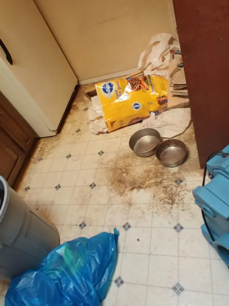 Trusted yard maintenance experts serving Tahoma, CA - Nicky's Helping Hand