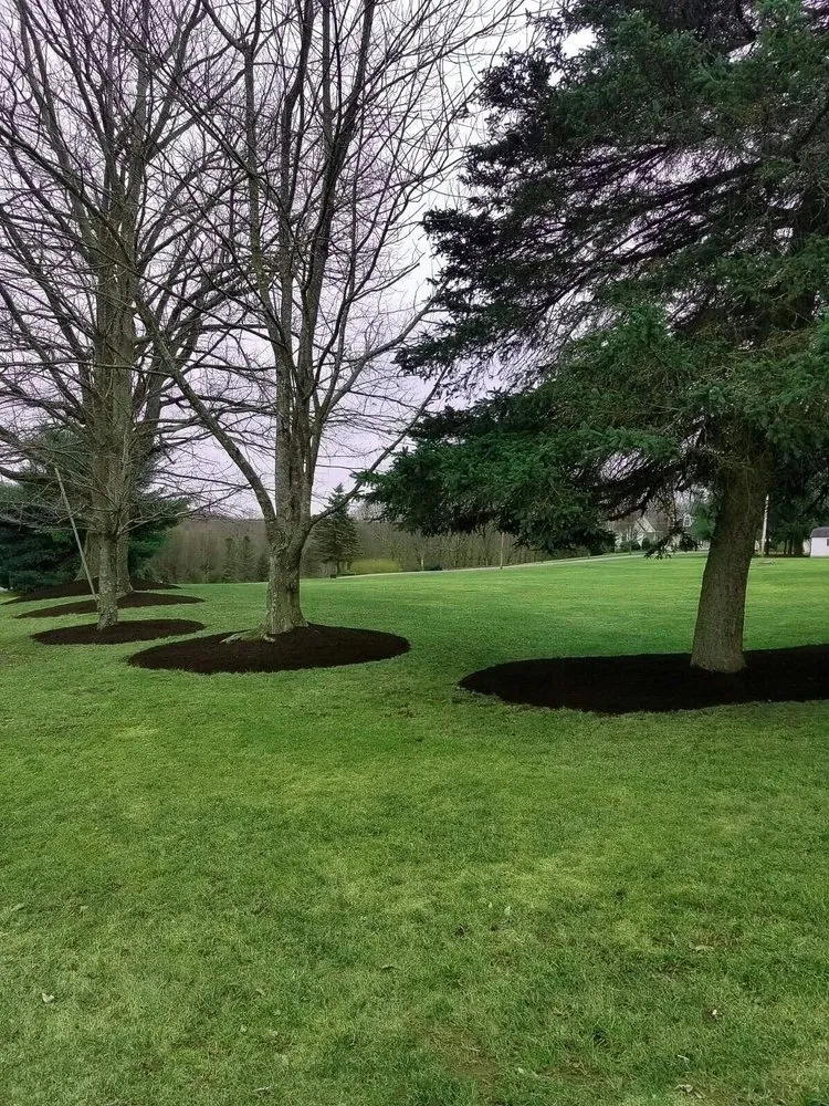 Professional outdoor landscaping in Scranton, PA - Nicky's Lawn Care Service