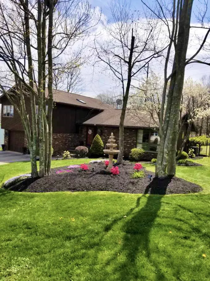 Expert lawn care service for beautiful yards across Scranton, PA - Nicky's Lawn Care Service