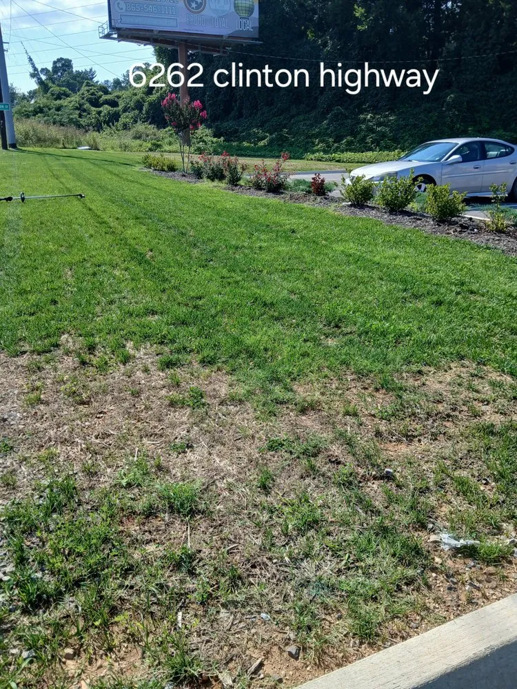 Trusted lawn care service for homes in Knoxville, TN by Nico & Ron Landscaping