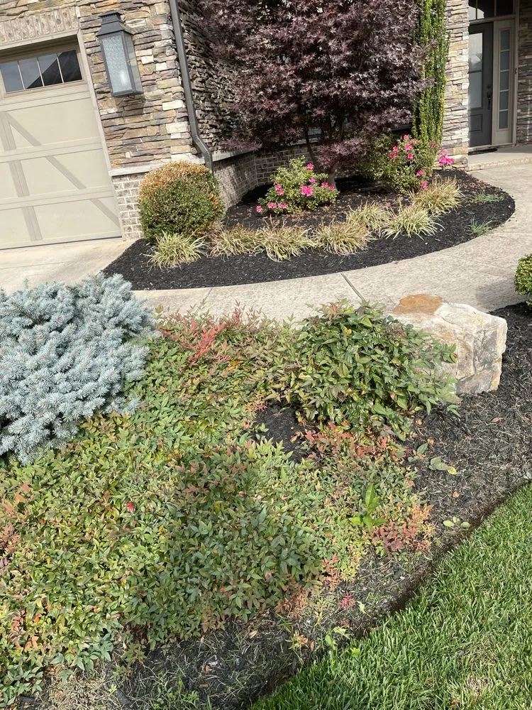 Reliable landscaping services in Knoxville, TN by Nico & Ron Landscaping