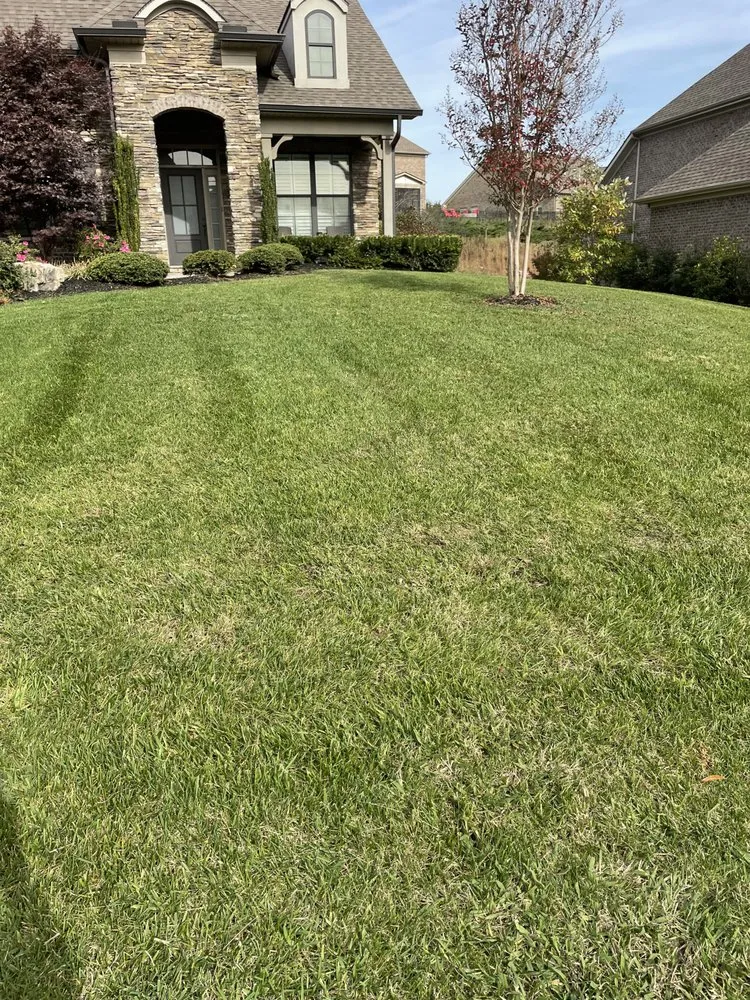 Custom landscape installation for outdoor upgrades in Knoxville, TN by Nico & Ron Landscaping