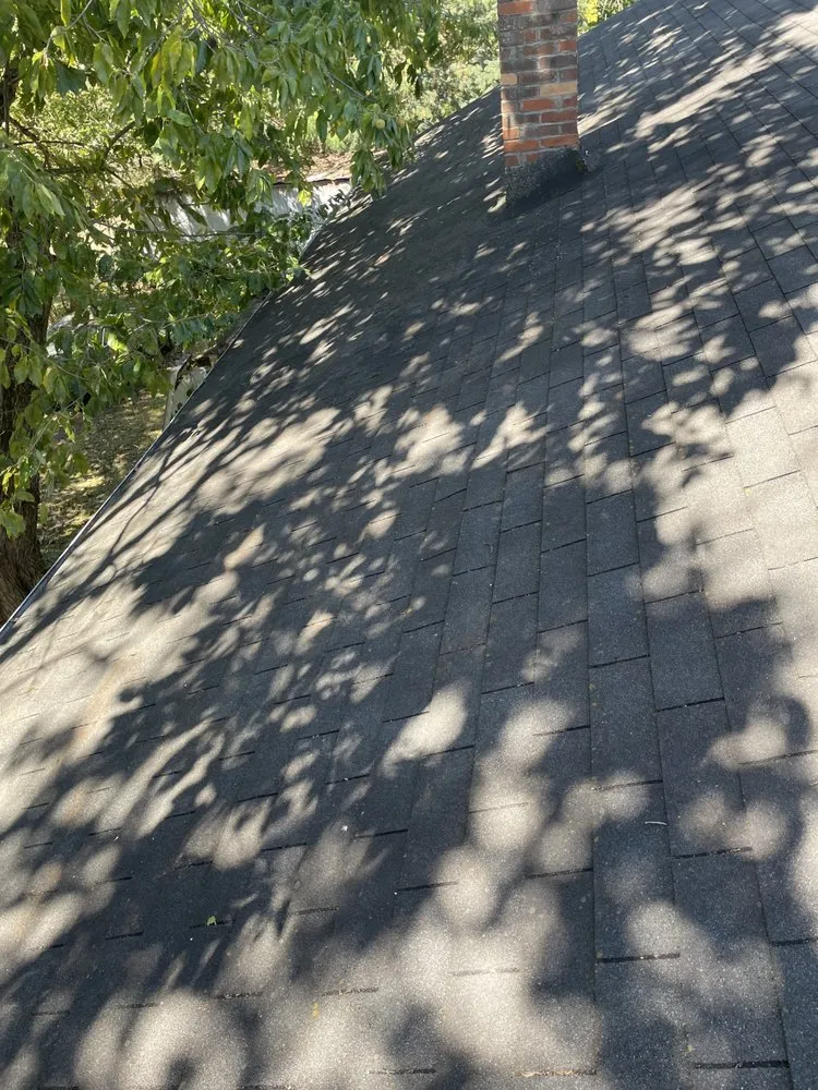 Expert yard cleanup service in Knoxville, TN - Nico & Ron Landscaping