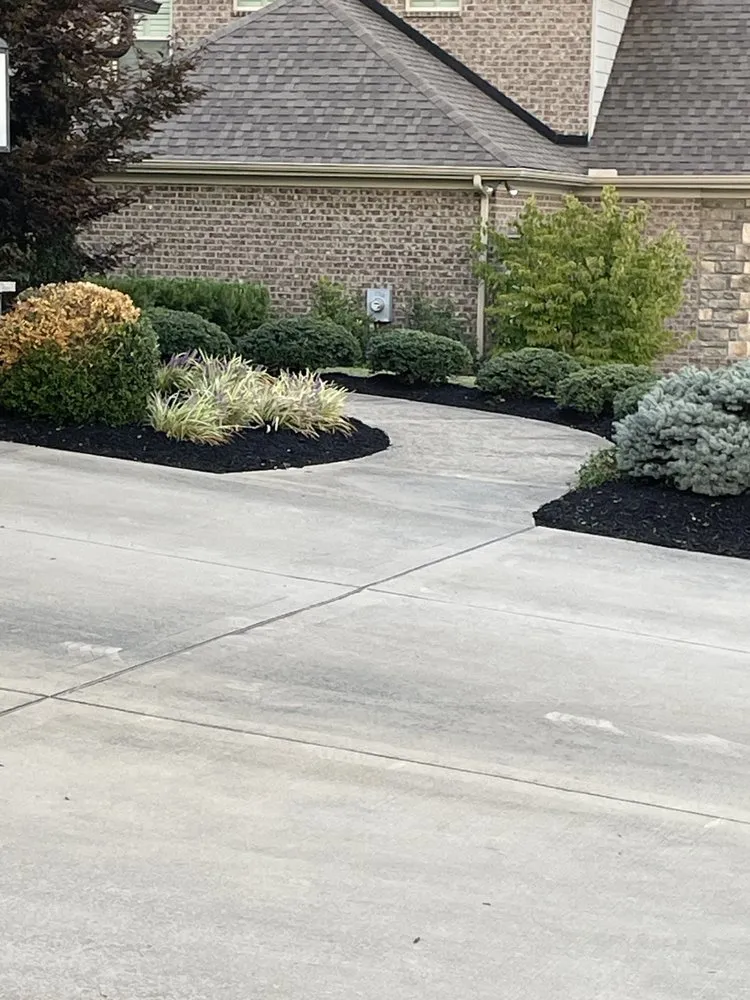 Local yard cleanup service in Knoxville, TN by Nico & Ron Landscaping