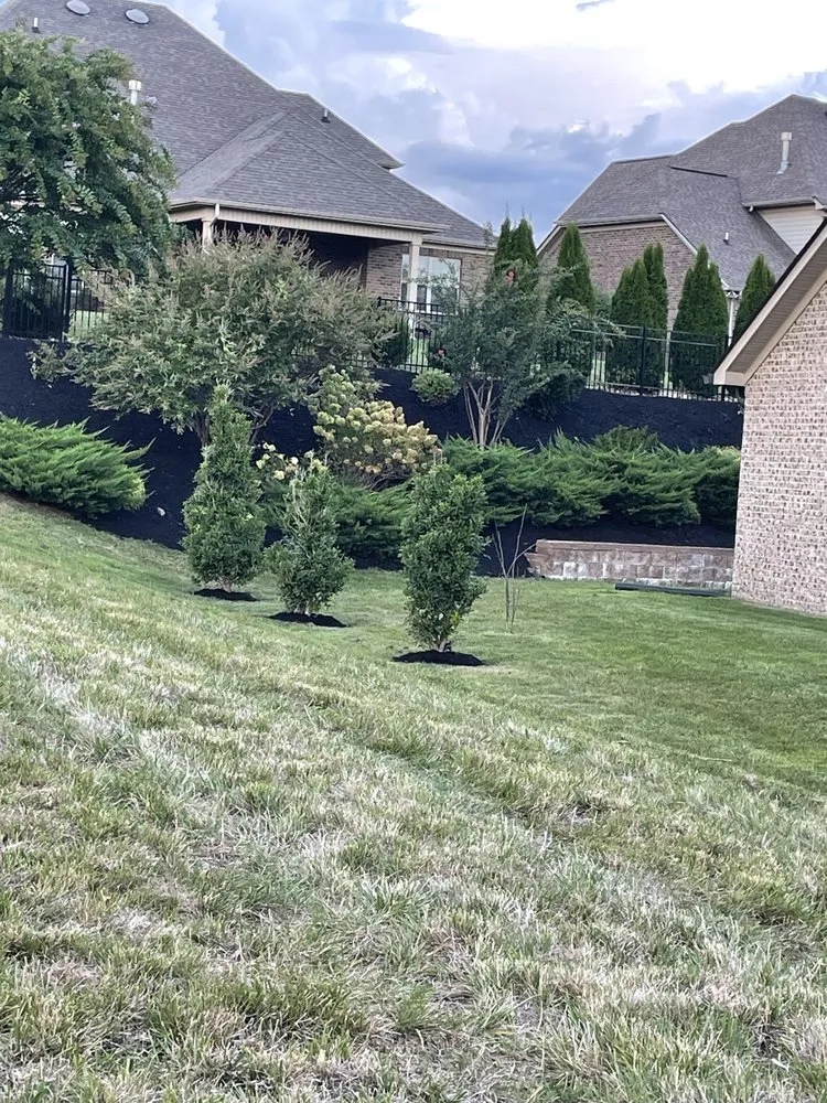 Custom lawn care service experts serving Knoxville, TN - Nico & Ron Landscaping