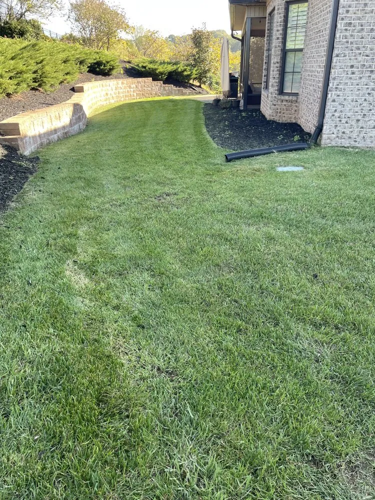 Expert yard maintenance in Knoxville, TN - Nico & Ron Landscaping