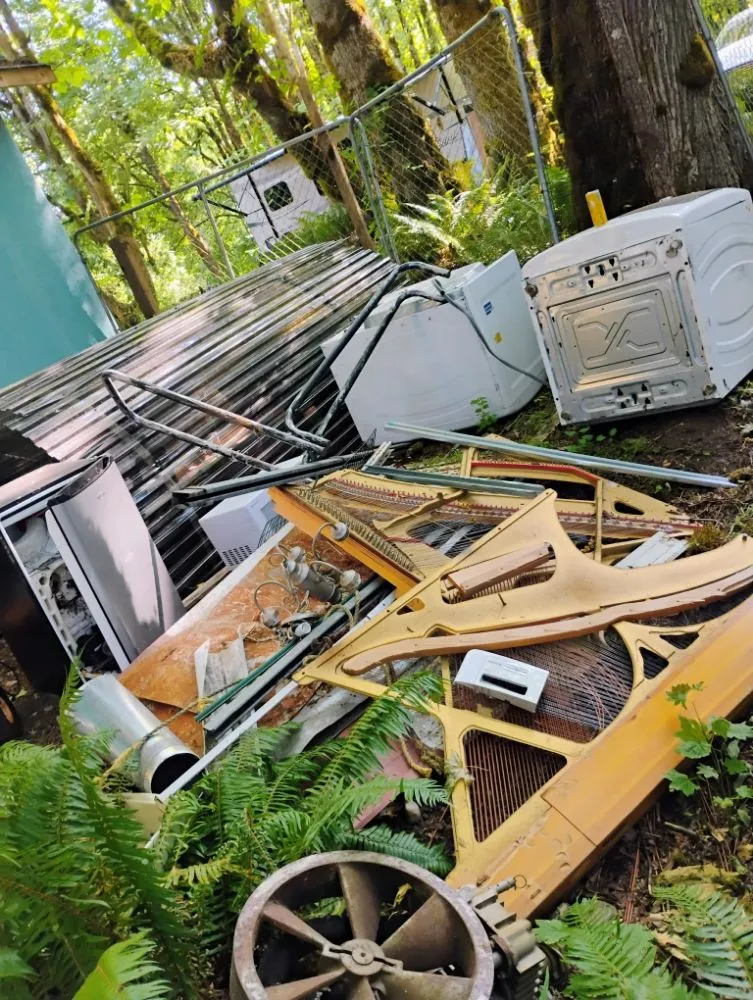 Trusted lawn care service for homes in Olympia, WA by Nico No Limits