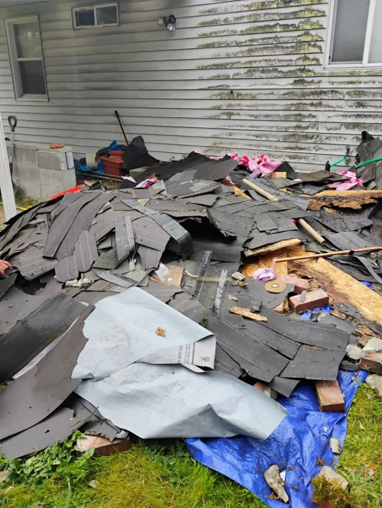 Expert yard cleanup service experts serving Olympia, WA - Nico No Limits