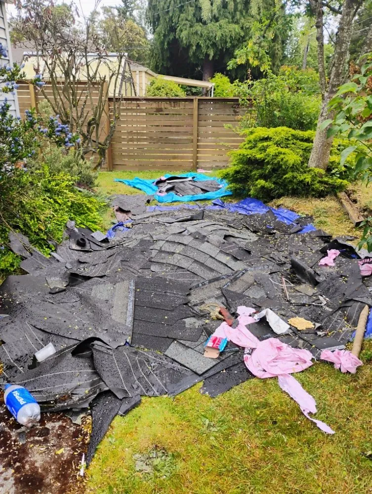 Top-rated garden landscaping in Olympia, WA - Nico No Limits