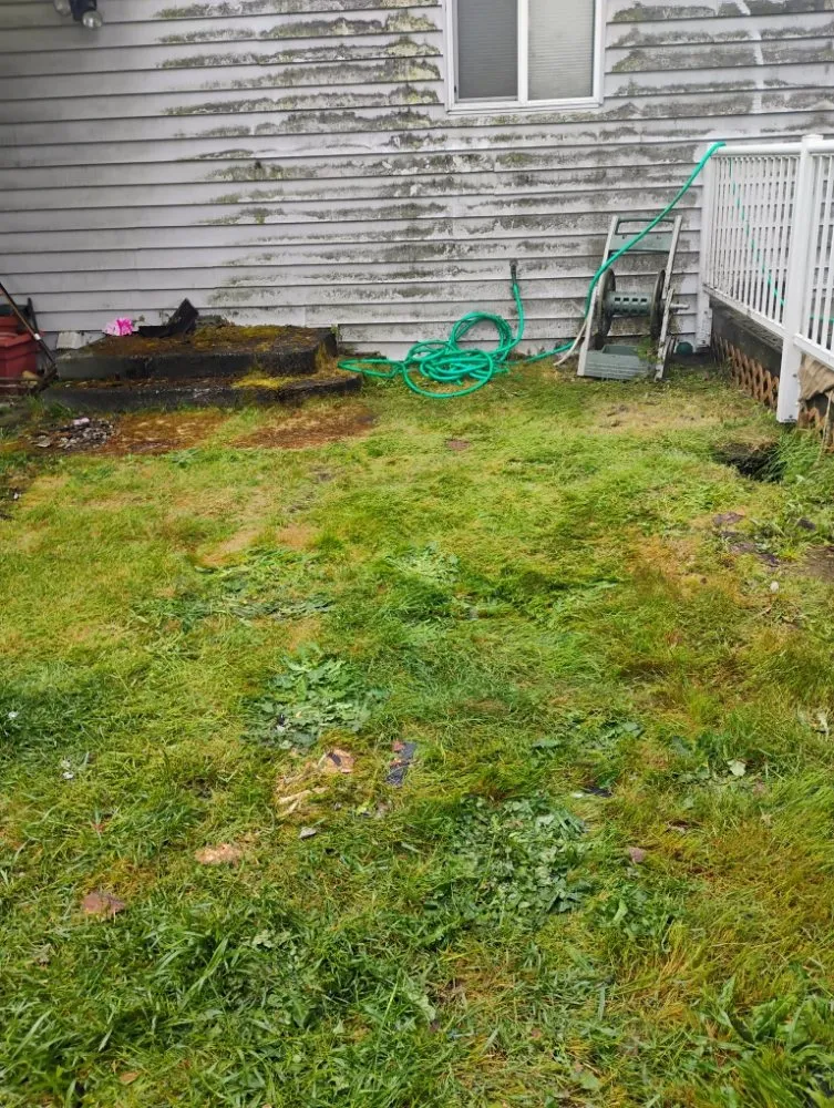 Local lawn mowing service in Olympia, WA by Nico No Limits