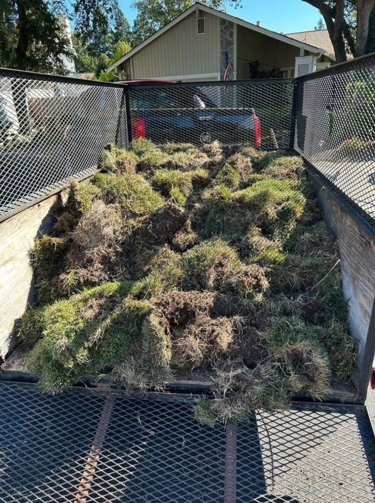 Reliable garden landscaping experts serving Olympia, WA - Nico No Limits