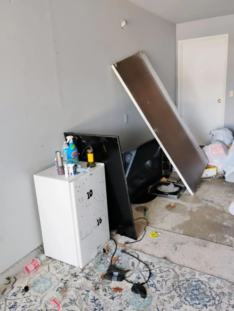 Expert outdoor landscaping for year-round maintenance in Olympia, WA by Nico No Limits