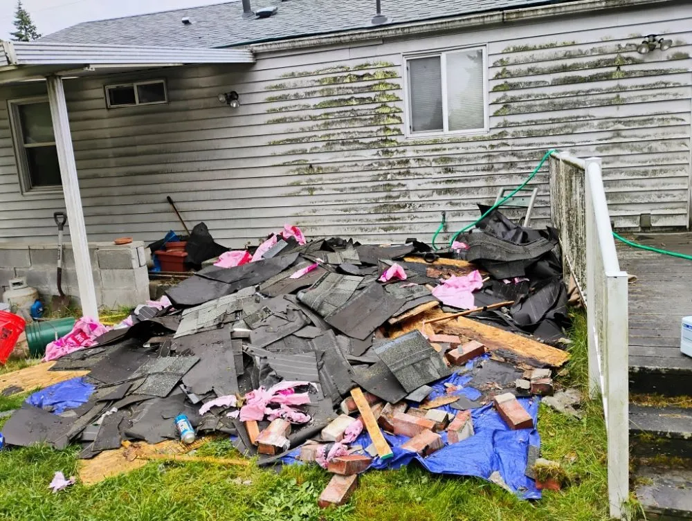 Reliable lawn care service in Olympia, WA - Nico No Limits