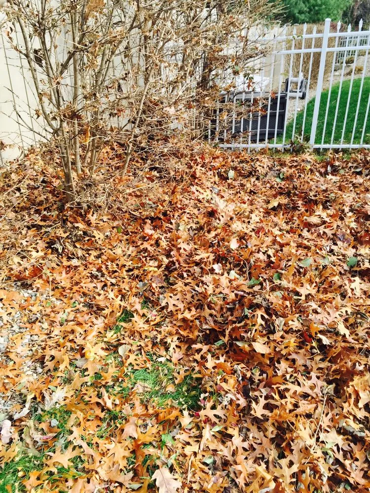 Affordable garden landscaping in Stevensville, MI by Nicolas & Maria Mowing