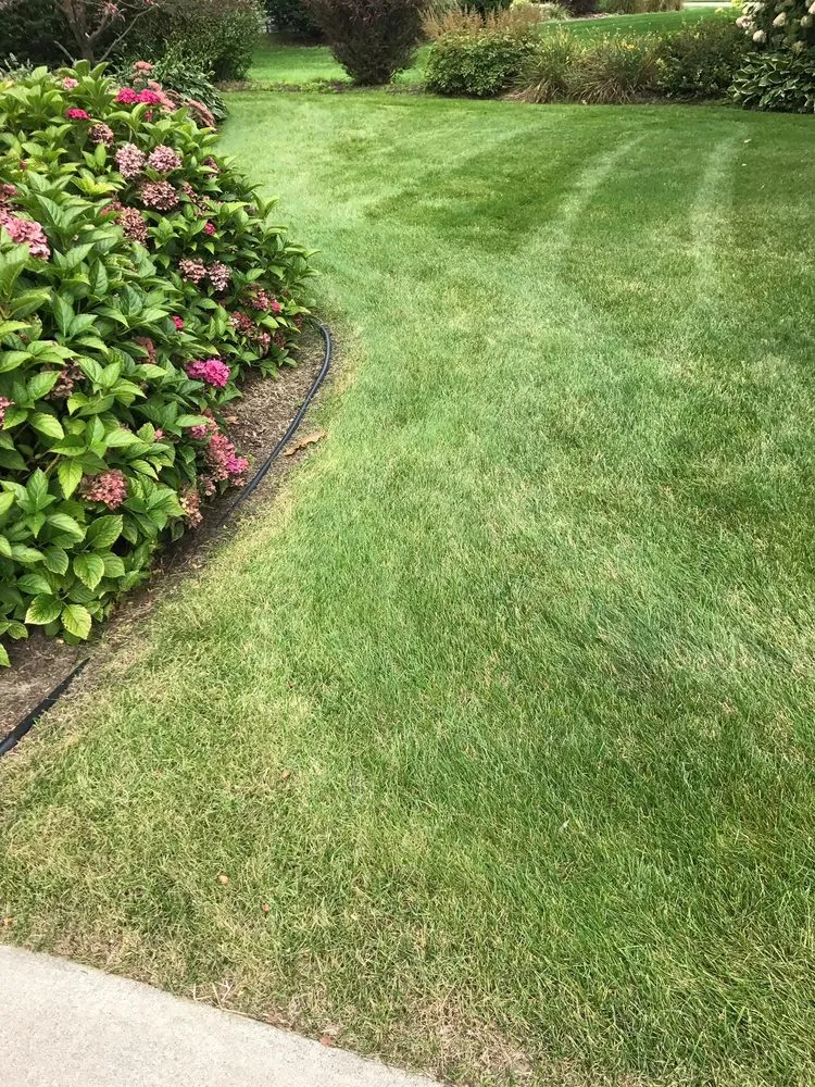 Professional lawn mowing service for beautiful yards across Stevensville, MI - Nicolas & Maria Mowing