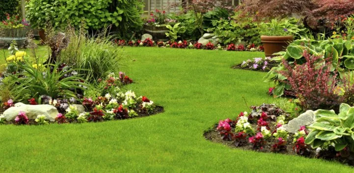 Professional yard cleanup service for homes across Stevensville, MI - Nicolas & Maria Mowing