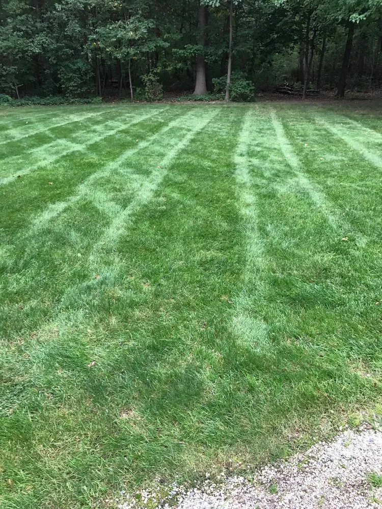 Affordable lawn mowing service in Stevensville, MI by Nicolas & Maria Mowing