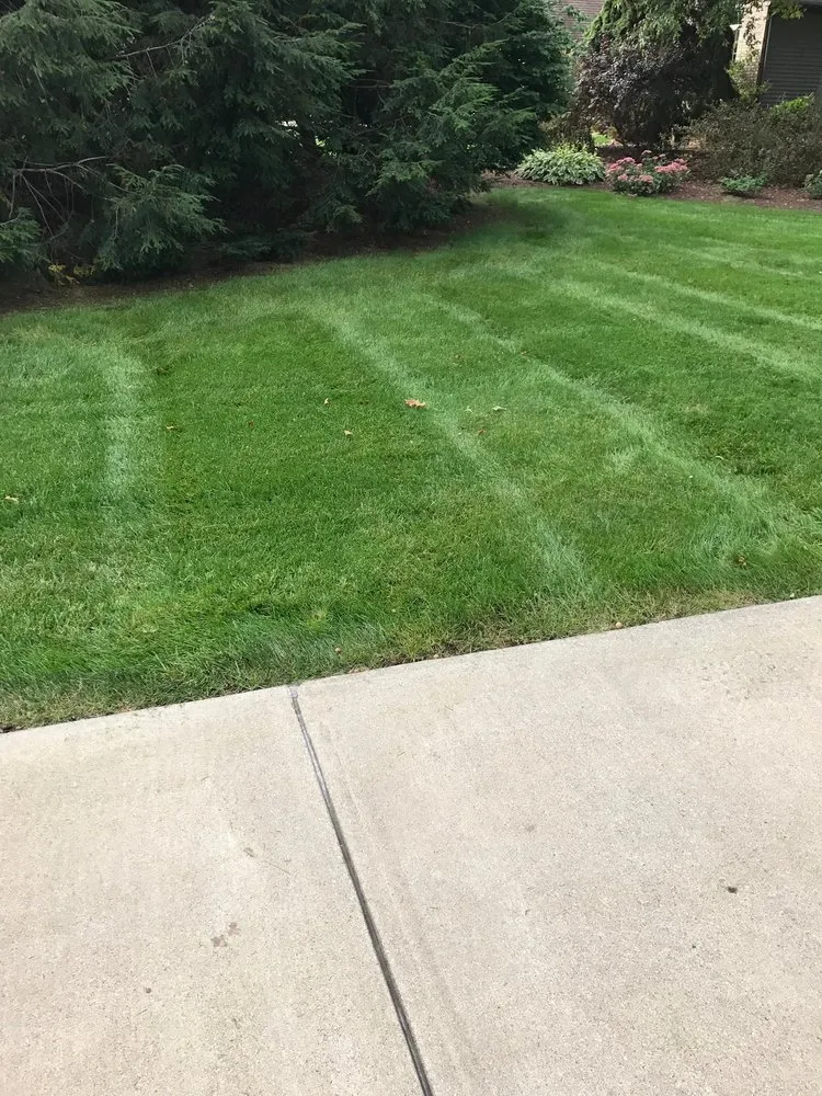 Local lawn mowing service for residential properties across Stevensville, MI - Nicolas & Maria Mowing