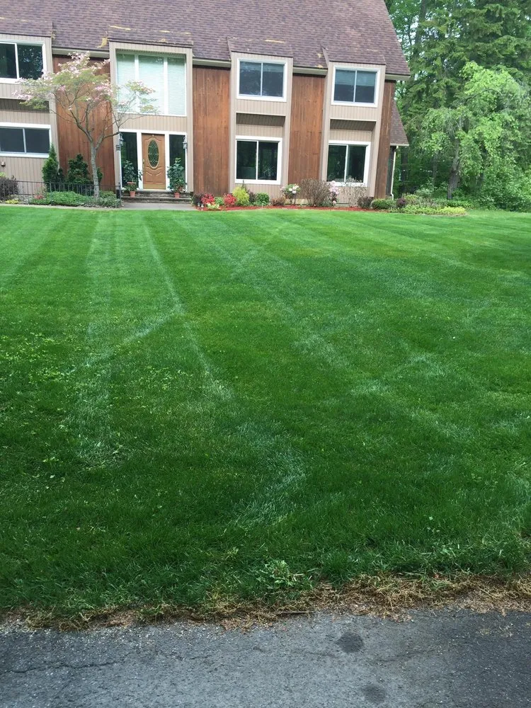 Reliable lawn mowing service for homes in Stevensville, MI by Nicolas & Maria Mowing