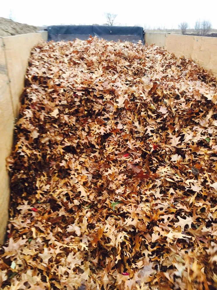 Custom lawn care service in Stevensville, MI by Nicolas & Maria Mowing