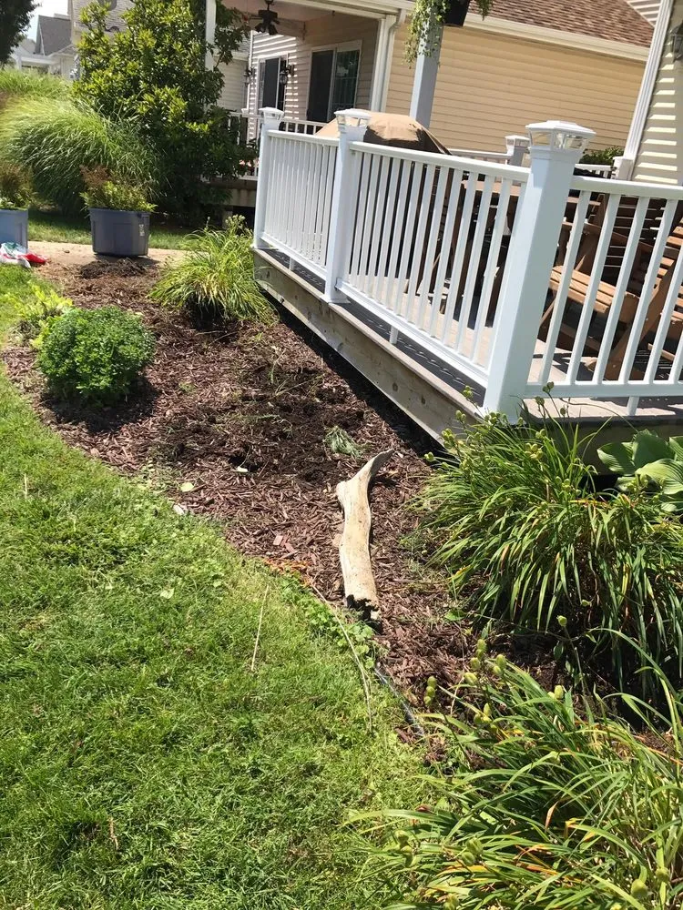 Expert lawn mowing service in Stevensville, MI by Nicolas & Maria Mowing