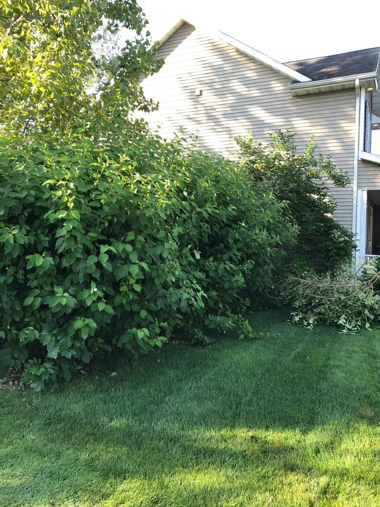 Trusted lawn mowing service for beautiful yards in Stevensville, MI by Nicolas & Maria Mowing