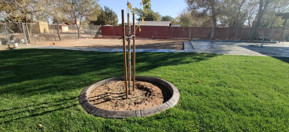 Trusted landscape design near you in Hesperia, CA by Nicolas Landscape