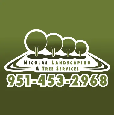 Top-rated yard cleanup service for beautiful yards across Perris, CA - Nicolas Landscaping & Tree Service