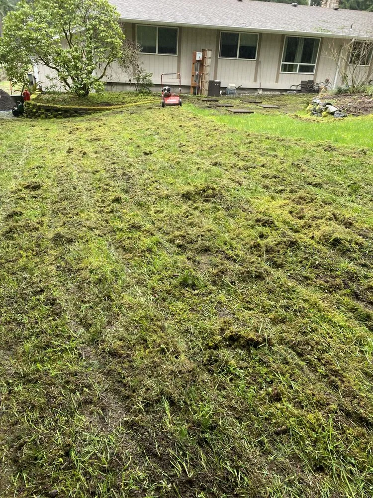 Local outdoor landscaping for year-round maintenance in Belfair, WA by Nicolas Landscaping And Tree Service