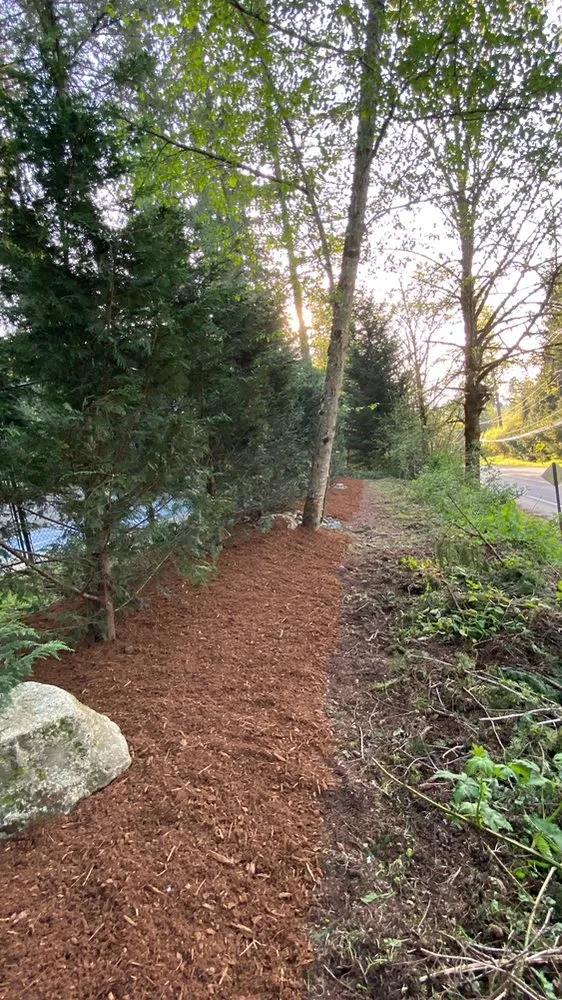 Top-rated residential landscaping in Belfair, WA - Nicolas Landscaping And Tree Service