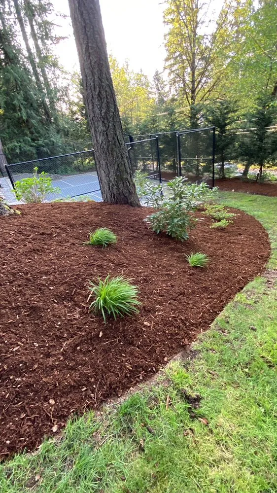 Top-rated residential landscaping in Belfair, WA - Nicolas Landscaping And Tree Service