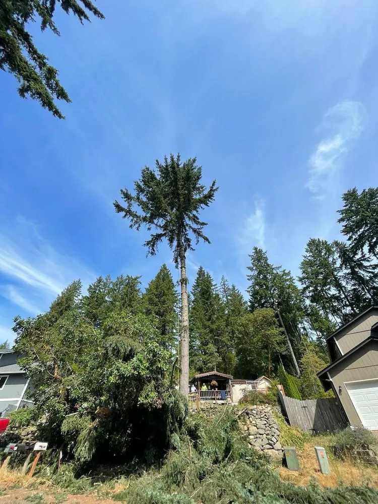 Custom yard maintenance for beautiful yards across Belfair, WA - Nicolas Landscaping And Tree Service