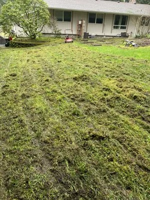 Nicolas Landscaping And Tree Service Logo