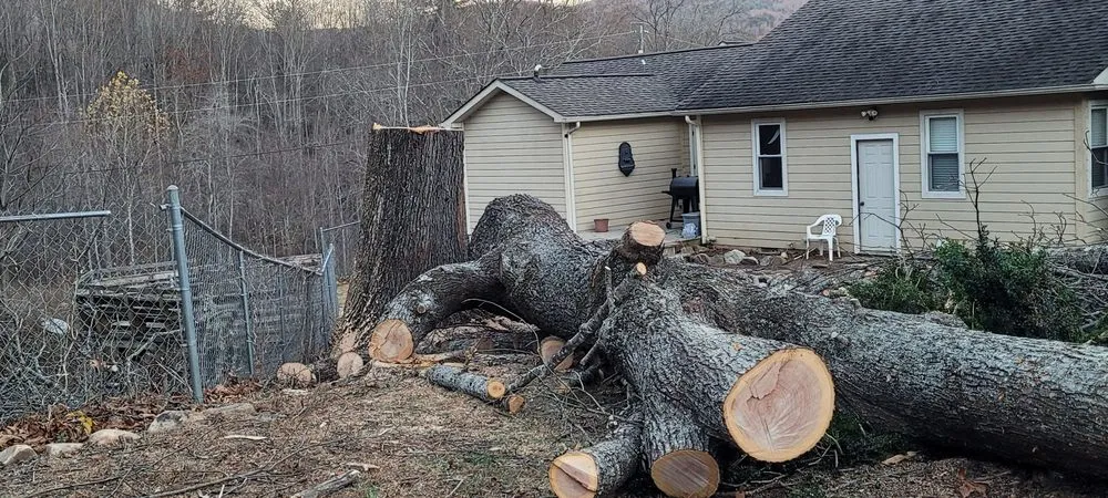 Expert garden landscaping near you in Spruce Pine, NC by Nicolas Landscaping and Tree Service